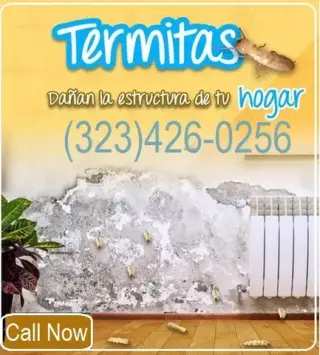 FUMIGACIONES TERMITAS L.A.-