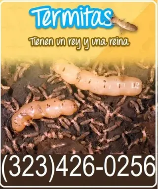 FUMIGACIONES TERMITAS L.A.-