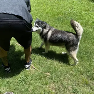 Sammie