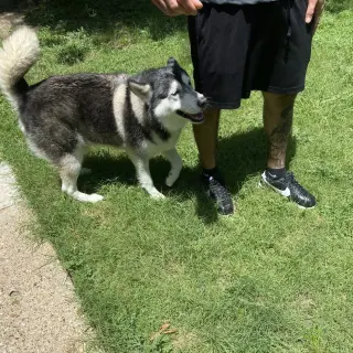 Sammie