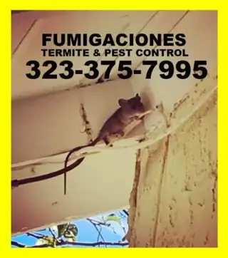 🡆FUMI-GAS-PLAGAS -GARANTIZADO