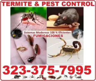 🡆FUMI-GAS-PLAGAS -GARANTIZADO