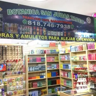 Curandera Claudia