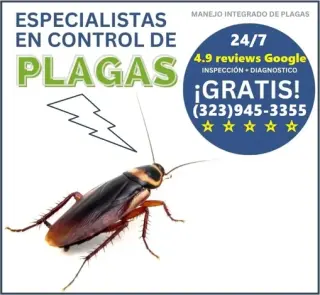 ROACHES CONTROL (323)945-3355.