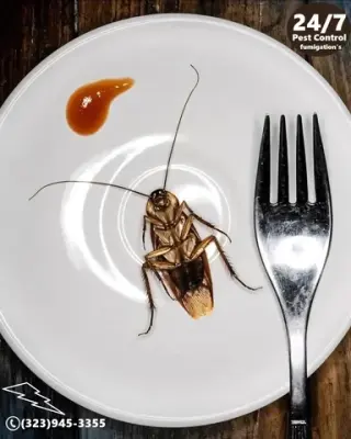 ROACHES CONTROL (323)945-3355.