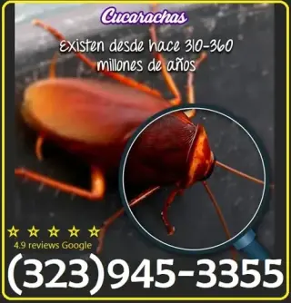 ROACHES CONTROL (323)945-3355.