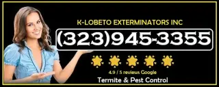 ROACHES CONTROL (323)945-3355.
