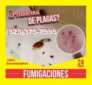 FUMIGACIONES 100 % GARANTIZADA