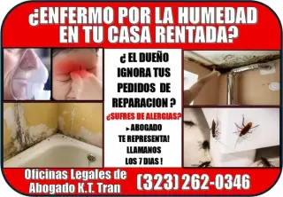 🔥HUMEDAD EN CASA? ENFERMO? 📞