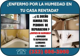 🔥HUMEDAD EN CASA? ENFERMO? 📞