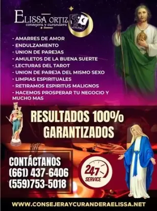 Consejera Y Curandera Elissa