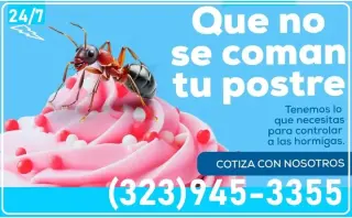 PEST CONTROL COMMERCIAL 24/7.-