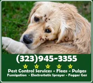 PEST CONTROL SERVICES L.A.