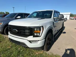 Ford F-150 2023 4x4 XLT 4 puertas SuperCrew 5.5 pies SB
