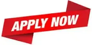 PREMIUM DOMESTIC REF SERVICES