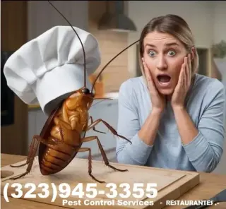 FUMIGACIONES TERMITAS PLAGAS