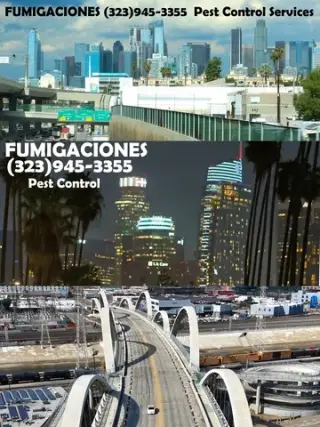 FUMIGACIONES TERMITAS PLAGAS