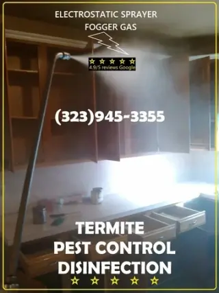 PEST CONTROL MAYWOOD ALL AREAS
