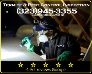 PEST CONTROL MAYWOOD ALL AREAS