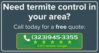 PEST CONTROL MAYWOOD ALL AREAS
