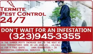 PEST CONTROL MAYWOOD ALL AREAS