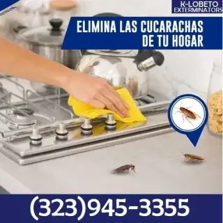 PEST CONTROL MAYWOOD ALL AREAS