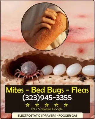 PEST CONTROL MAYWOOD ALL AREAS