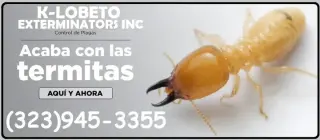 PEST CONTROL MAYWOOD ALL AREAS