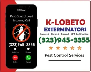 Exterminator Los Angeles 24/7.