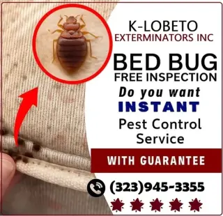Exterminator Los Angeles 24/7.