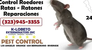 Exterminator Los Angeles 24/7.