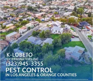 Exterminator Los Angeles 24/7.