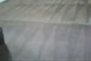 Limpieza De Alfombras.