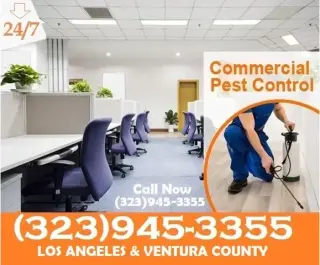 FUMIGACIONES LOS ANGELES.-