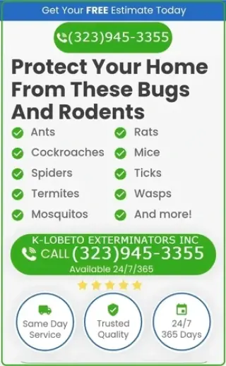 PEST CONTROL SERVICES 24/7.-