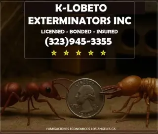 PEST CONTROL SERVICES 24/7.-