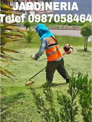 Fumigaciones Quito Tel 2428098