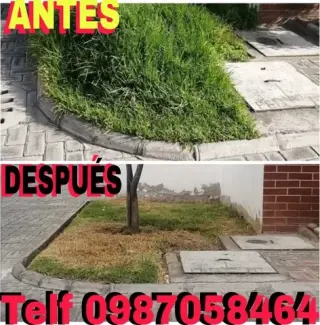 Fumigaciones Quito Tel 2428098