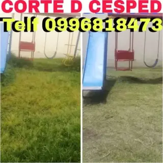 Jardinería en Calderón 2428098