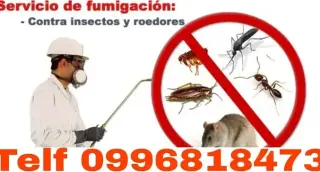 Control de plagas en Quito
