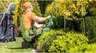 JARDINERIA