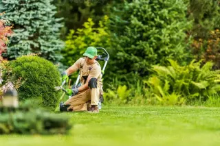 JARDINERIA