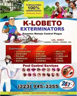FUMIGACIONES CLASIFICADOS #1.