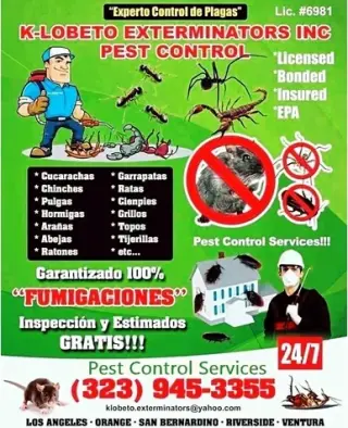 FUMIGACIONES CLASIFICADOS #1.