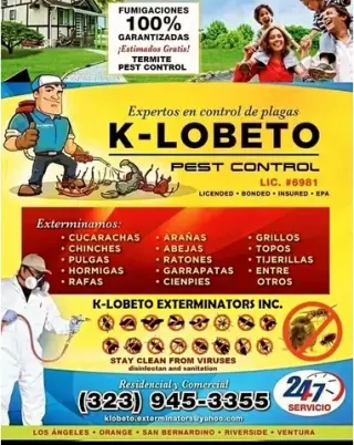 FUMIGACIONES CLASIFICADOS #1.