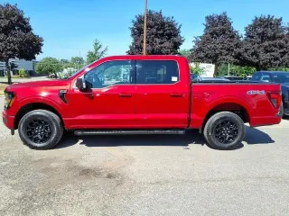 Ford F-150 2024 4x4 XLT 4p SuperCrew 5.5 ft. SB