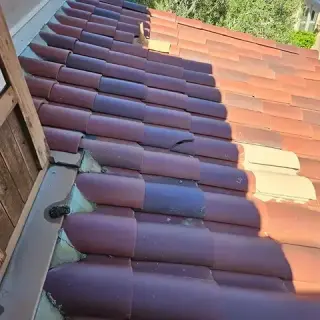 Rodriguez Professional