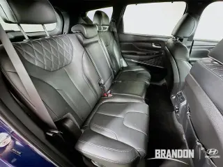 Hyundai SANTA FE 2023 Calligraphy 4p Crossover