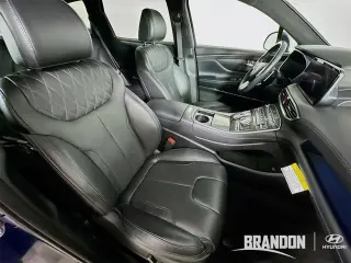 Hyundai SANTA FE 2023 Calligraphy 4p Crossover