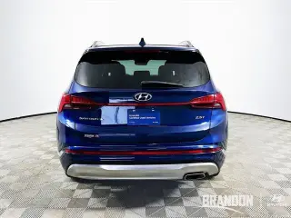 Hyundai SANTA FE 2023 Calligraphy 4p Crossover